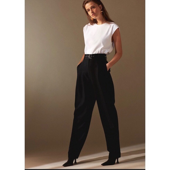Aritzia Pants - Aritzia Babaton 1-01 Gonnerman Pant